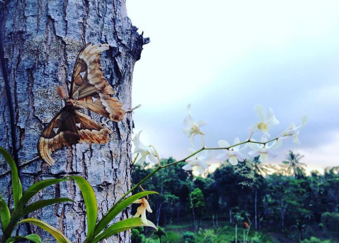 Апартаменты Sky Garden Lombok Тетебату Экстерьер фото