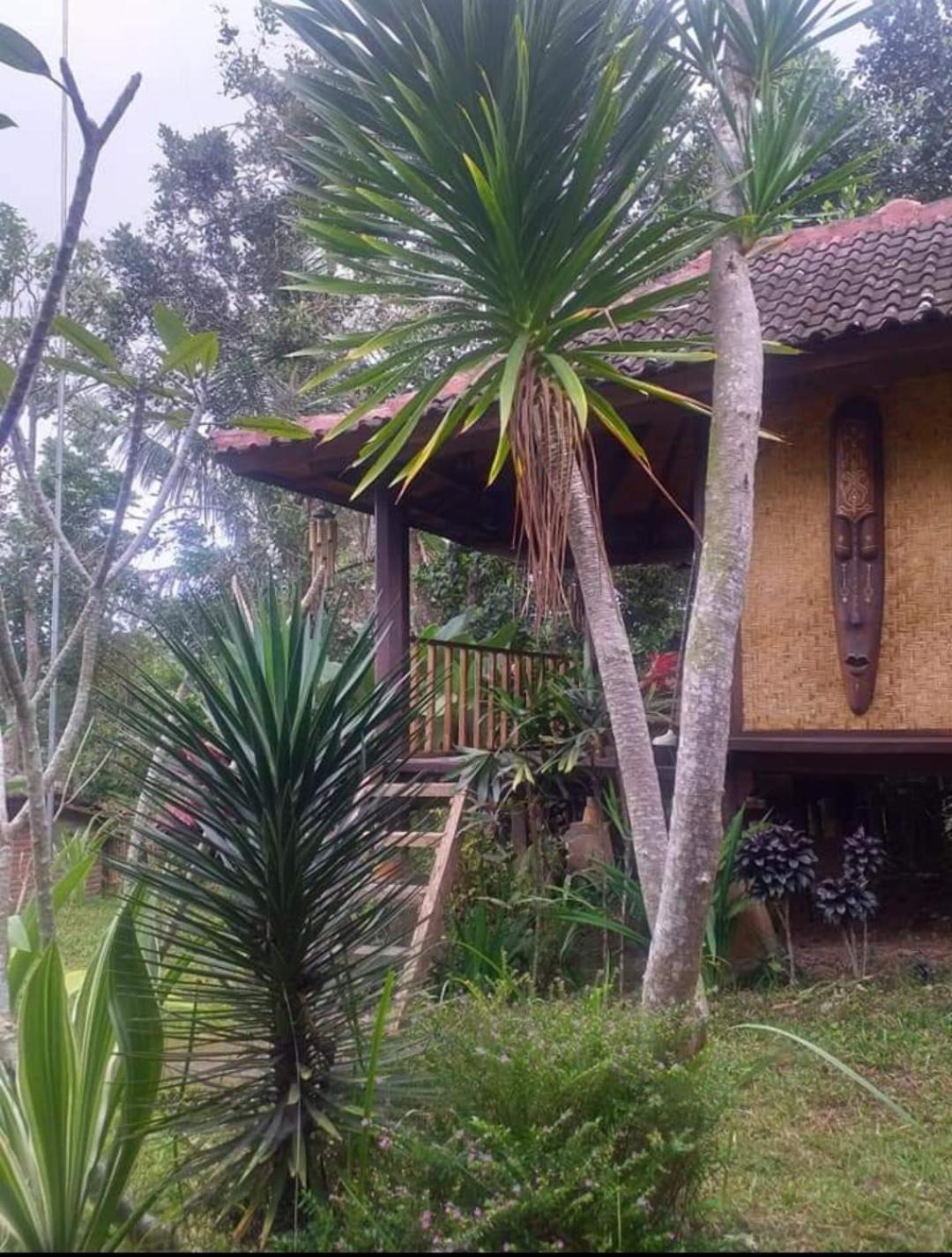 Апартаменты Sky Garden Lombok Тетебату Номер фото